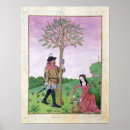 Search for medicinal herbs posters Herbal