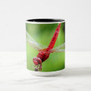 Search for red wings mugs Wild