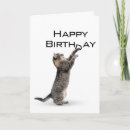 Search for grey cat cards Animal