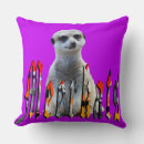 Search for meerkat cushions Animal