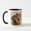 Search for golden retriever dog mugs Animal