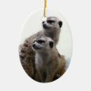Search for meerkat christmas decor animal