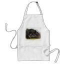 Search for brown bear aprons Illustration