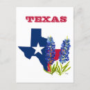 Search for texas bluebonnet postcards Lupine
