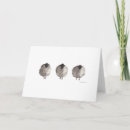 Search for black lamb cards Sheep