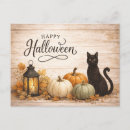 Search for fall pumpkin postcards Farmhouse