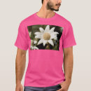 Search for chamomile clothing Collectable