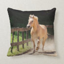 Search for fjord horse Pony