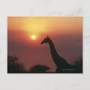 Search for cut out postcards Horizontal