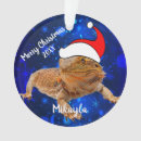 Search for santa dragon christmas tree decorations Beardie
