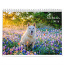 Search for rescue dog calendars Pets