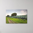 Search for distiller art Blue agave
