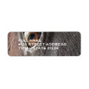 Search for friesian horse return address labels Horses