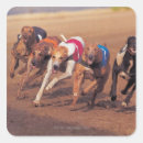 Search for track racing stickers Competition