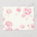 Search for soft rose postcards Floral