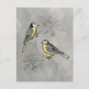 Search for silver postcards Birds