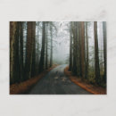 Search for national monument postcards Forest