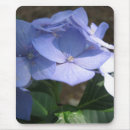 Search for blue hydrangeas mousepads Garden