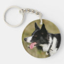 Search for headshot key rings Canine photographer