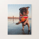Search for pug puzzles Puppy