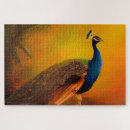 Search for peacock puzzles Colourful
