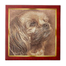 Search for abstract tiles Pet