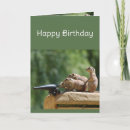 Search for over the hill birthday cards Animal