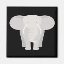 Search for elephants magnets Jungle