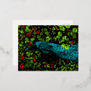 Search for peacock butterfly postcards Butterflies