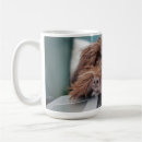 Search for containment mugs Pet
