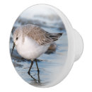 Search for beach knobs and pulls Wildlife