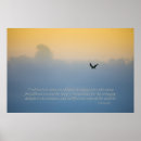 Search for bird quotes posters Saying
