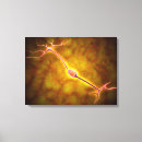 Search for synapses posters Horizontal