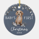 Search for labrador dog christmas decor Watercolor