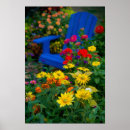 Search for blue zinnia posters Colourful