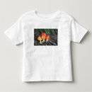 Search for amanita tshirts Colourful