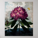 Search for rhododendrons art Nature
