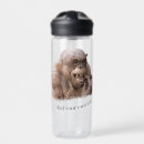 Search for ape kitchen dining Primate