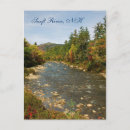 Search for swift New hampshire