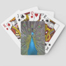 Search for peacock playing cards Nature
