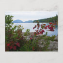 Search for red maple postcards Fall