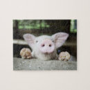 Search for piglet puzzles Baby
