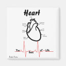 Search for beating heart magnets Medical