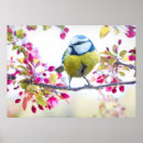 Search for fowl art Cute