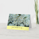 Search for spring bulb cards Daffodil