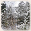 Search for winter snow scene coasters Snowflakes