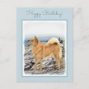 Search for finnish postcards Dog