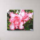 Search for azalea canvas prints Floral