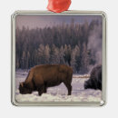 Search for yellowstone park christmas tree decorations Bison