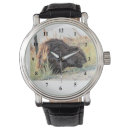 Search for a beaver watches Animal